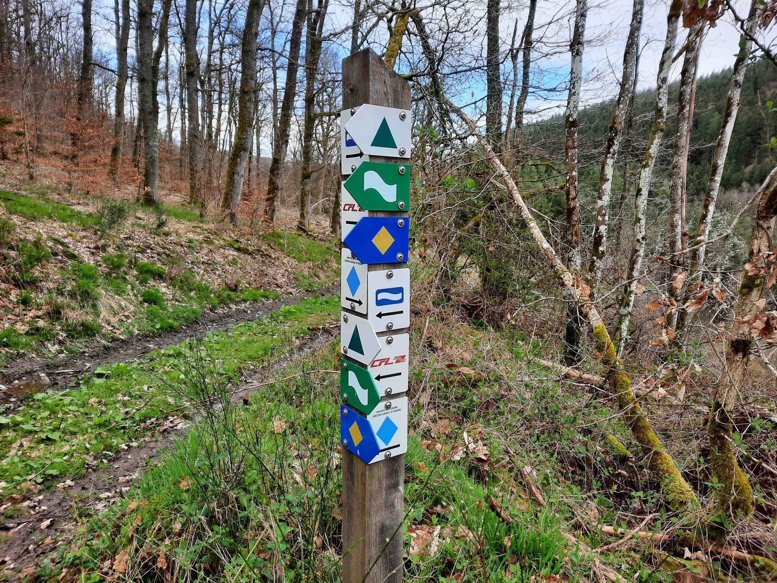 Markierung