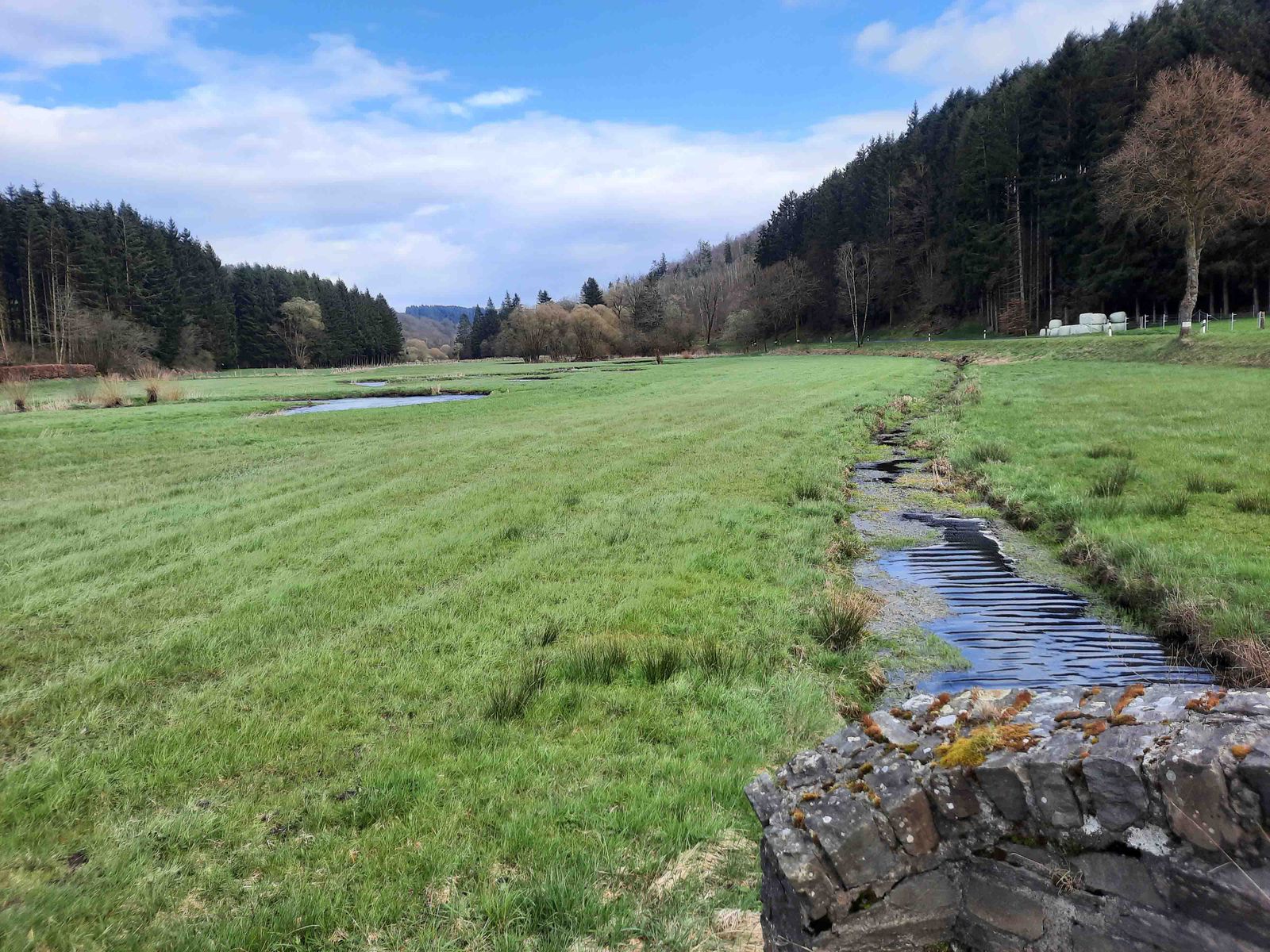 Tretterbach