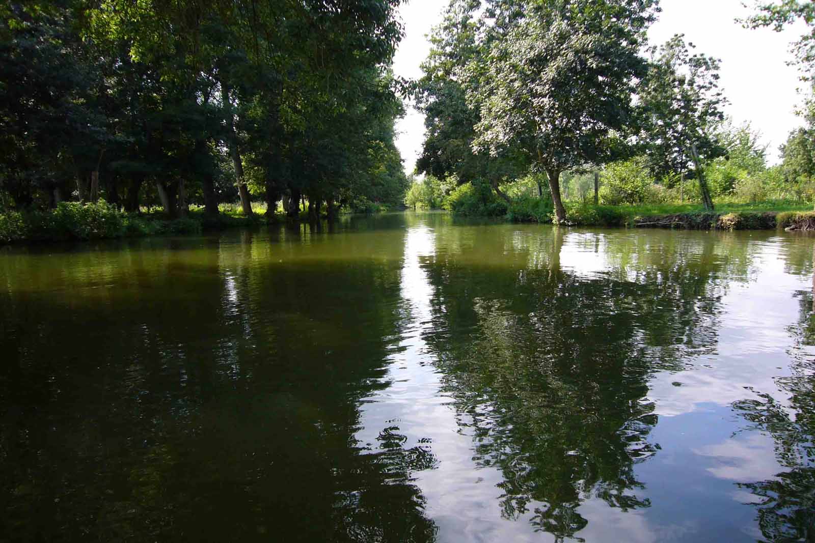 Marais
