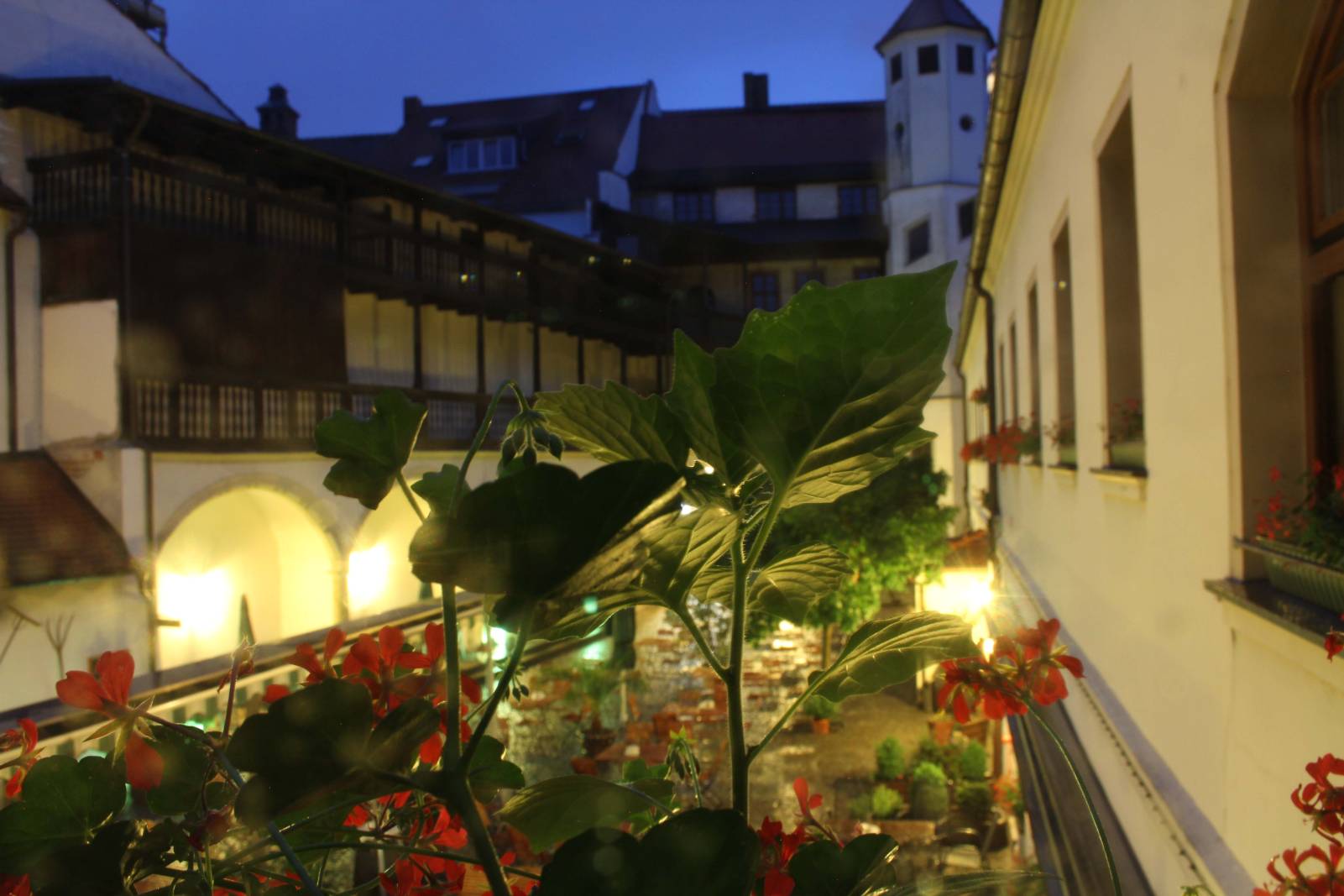 Brauhaus