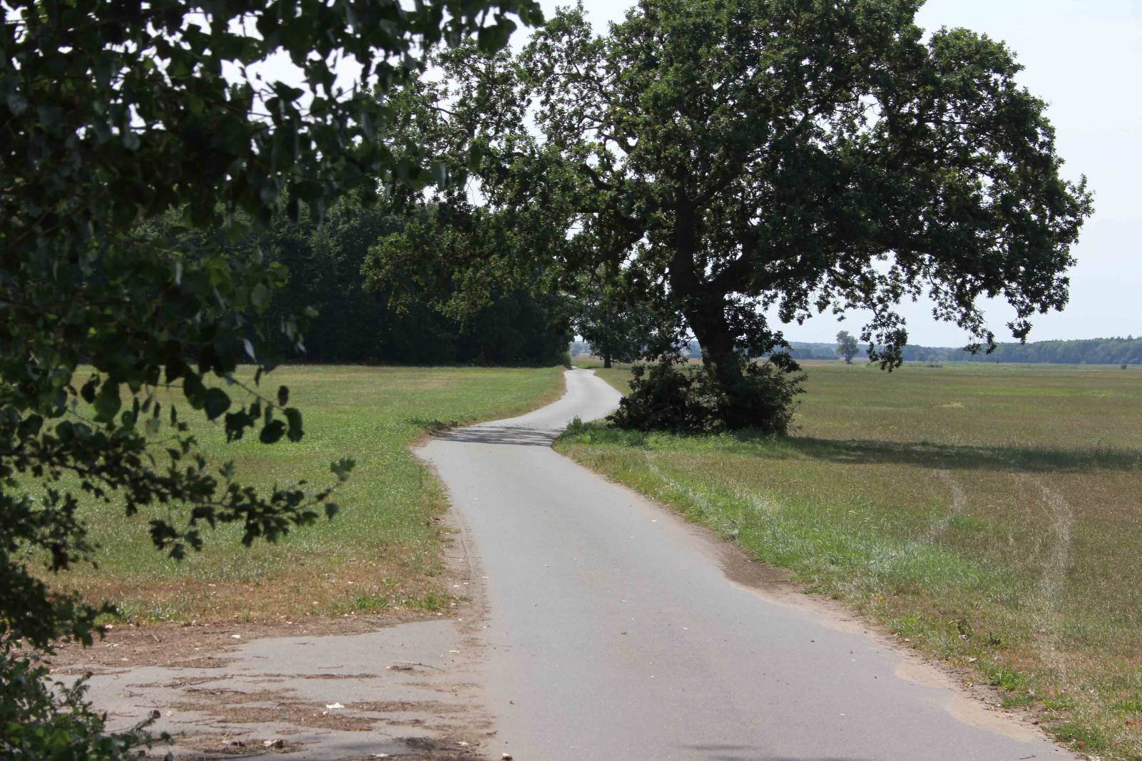 Nisdorf