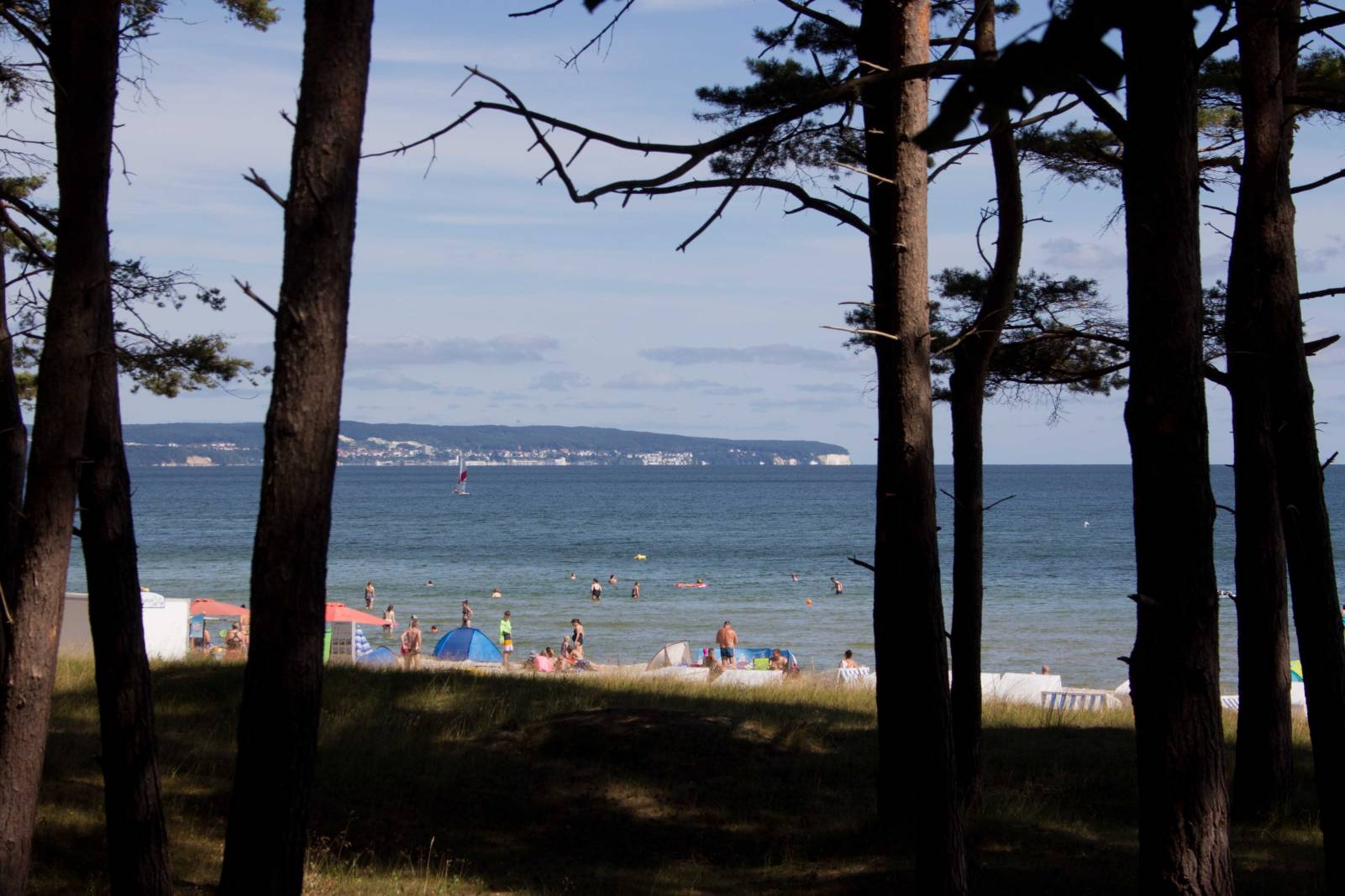 Binz