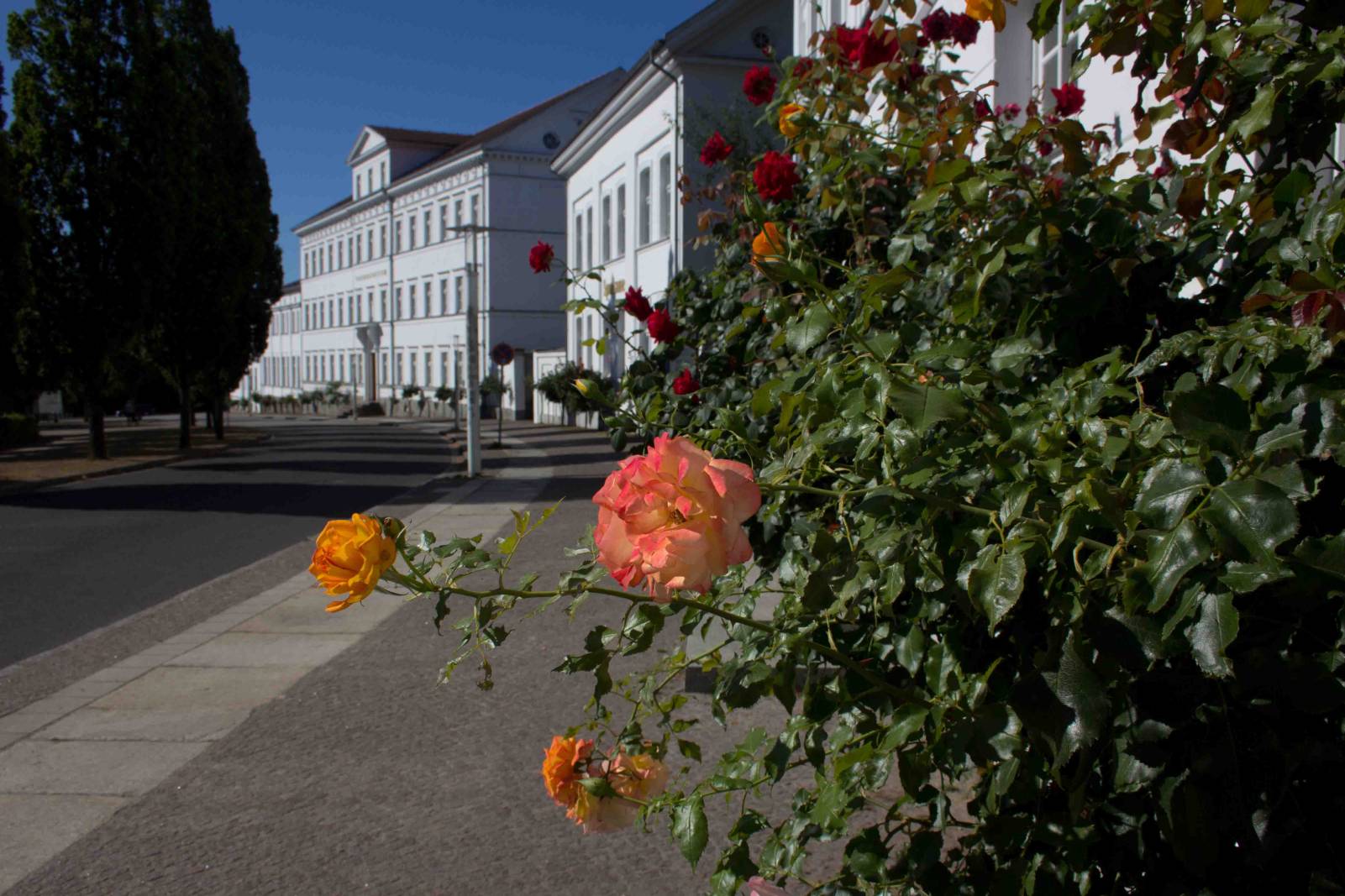 Putbus