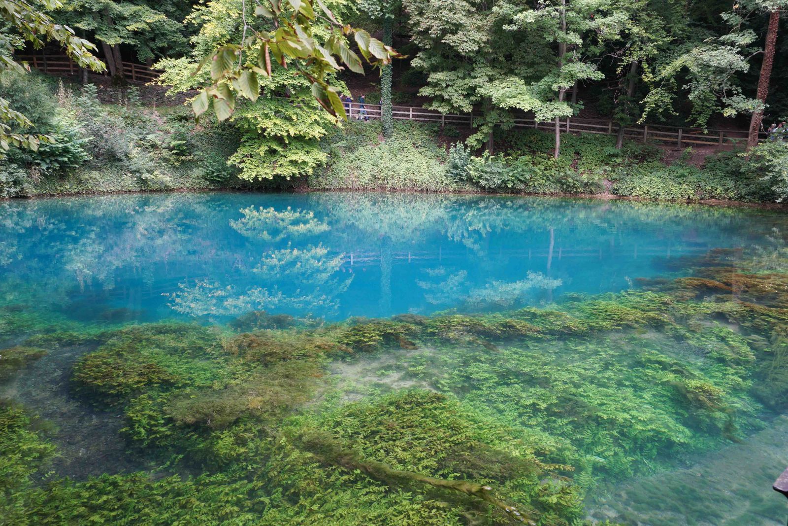 Blautopf
