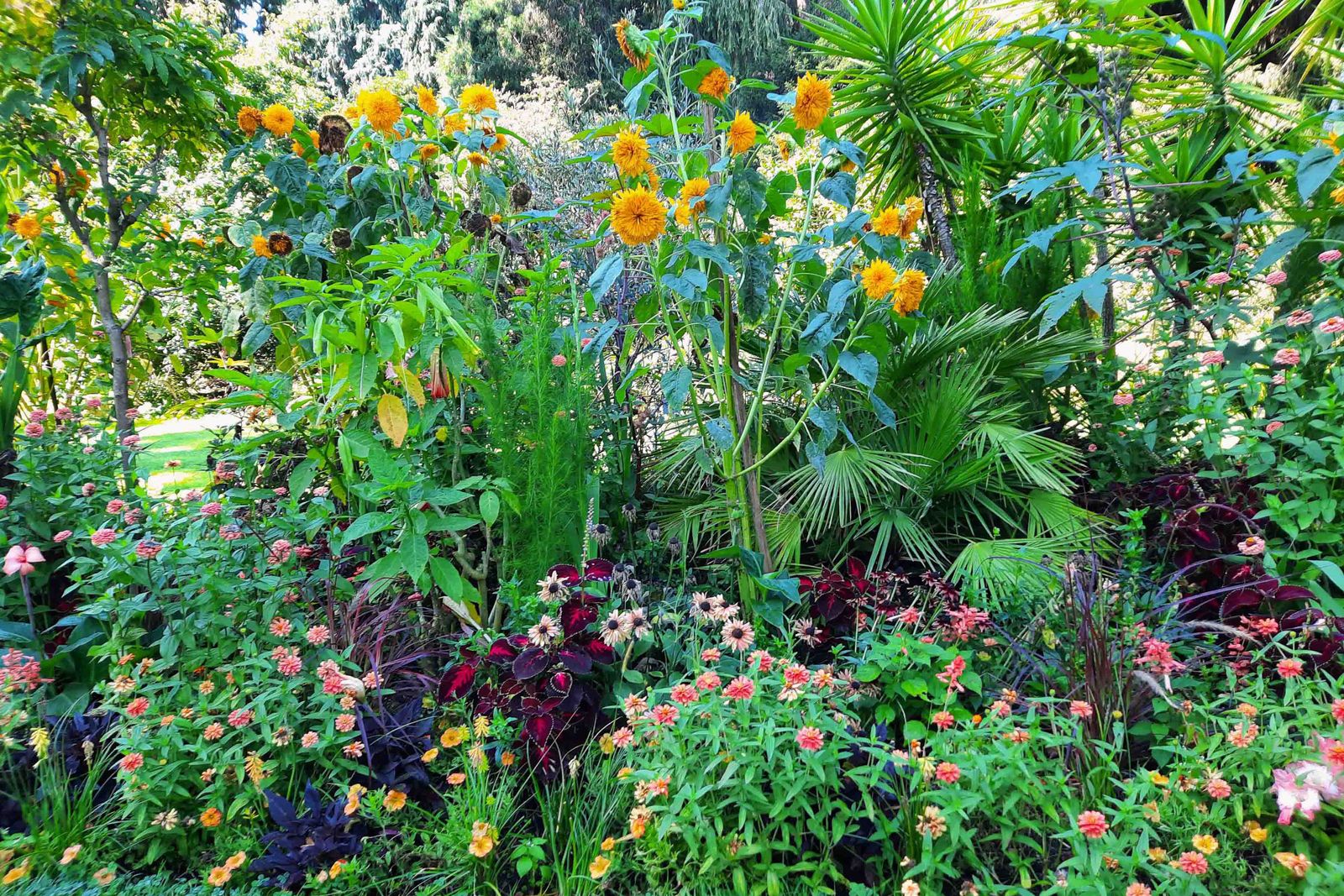 Mainau