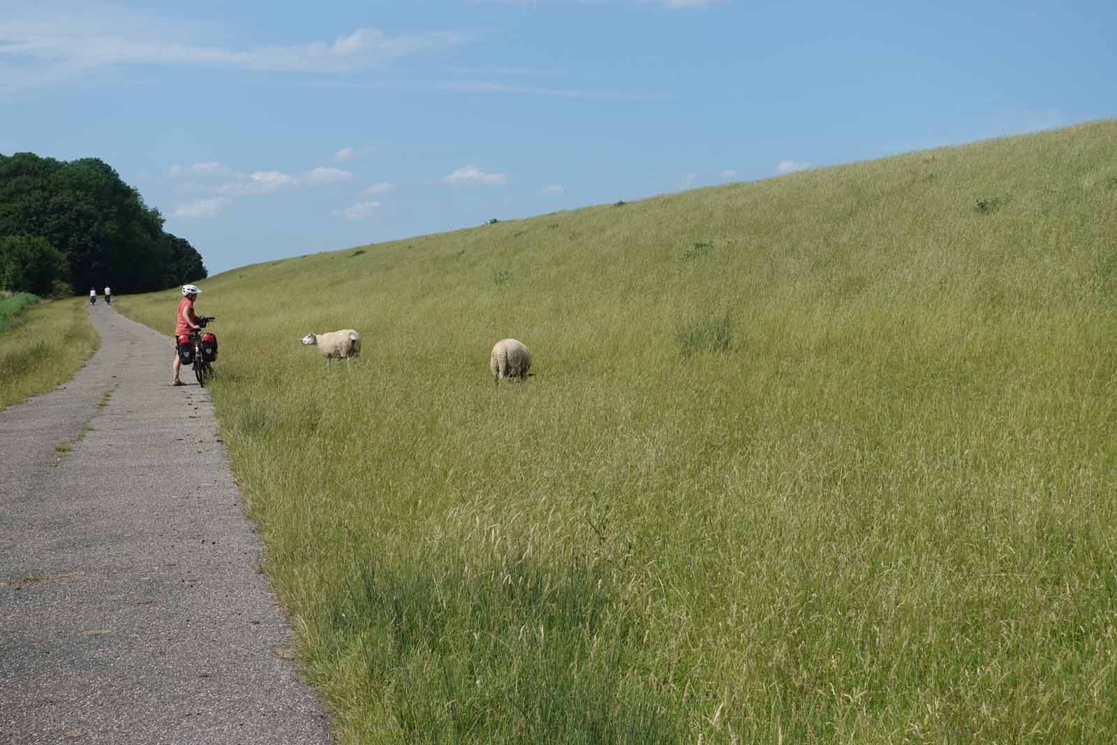 Deichweg Ems