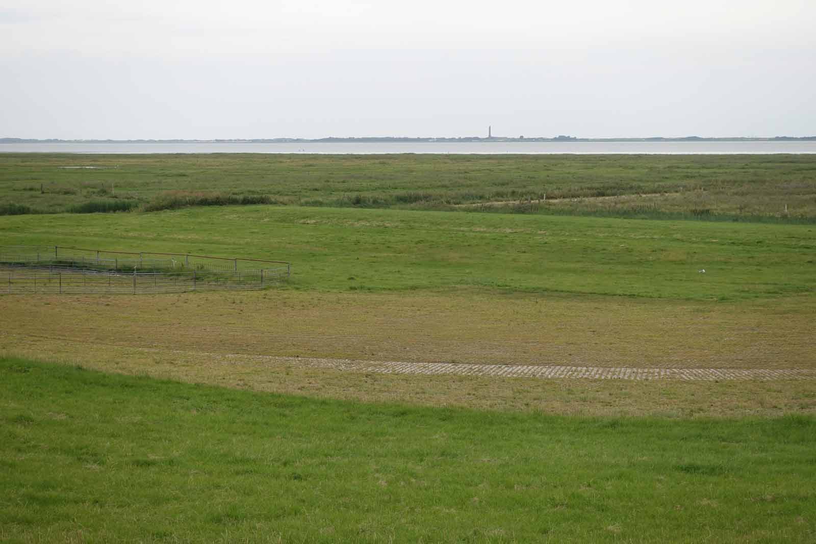 Marschlandschaft