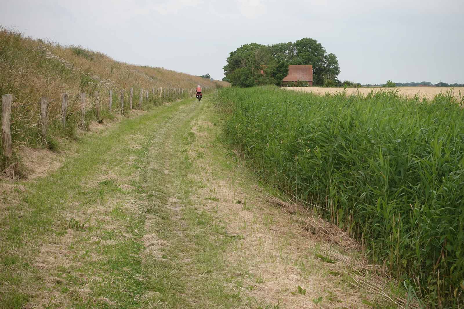 Fahrradweg