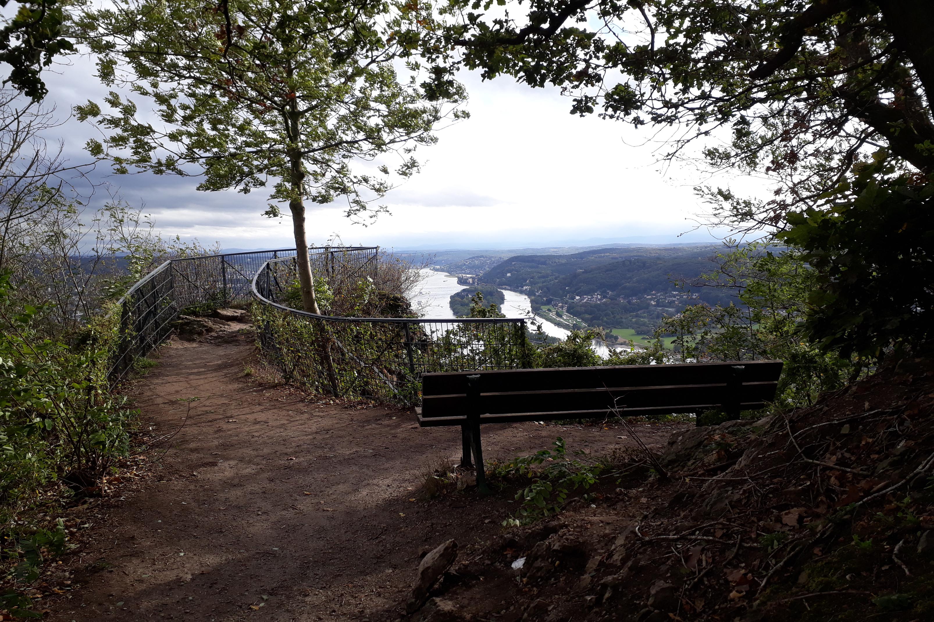 Drachenfels2019