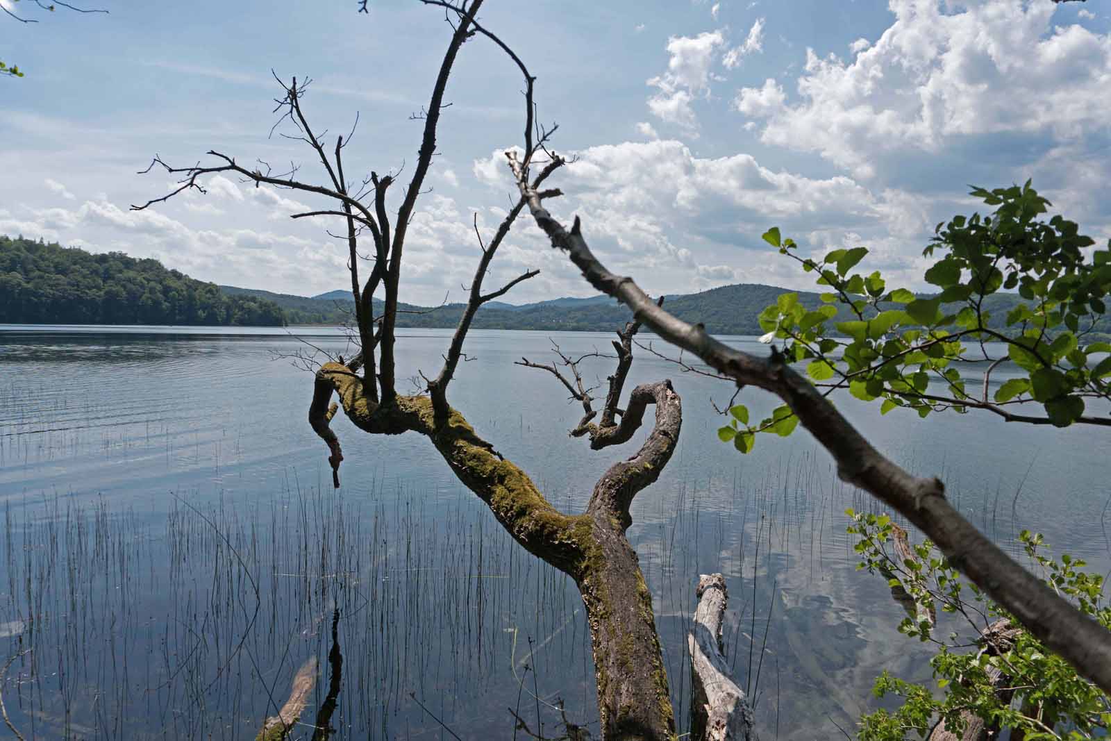 LaacherSee2020