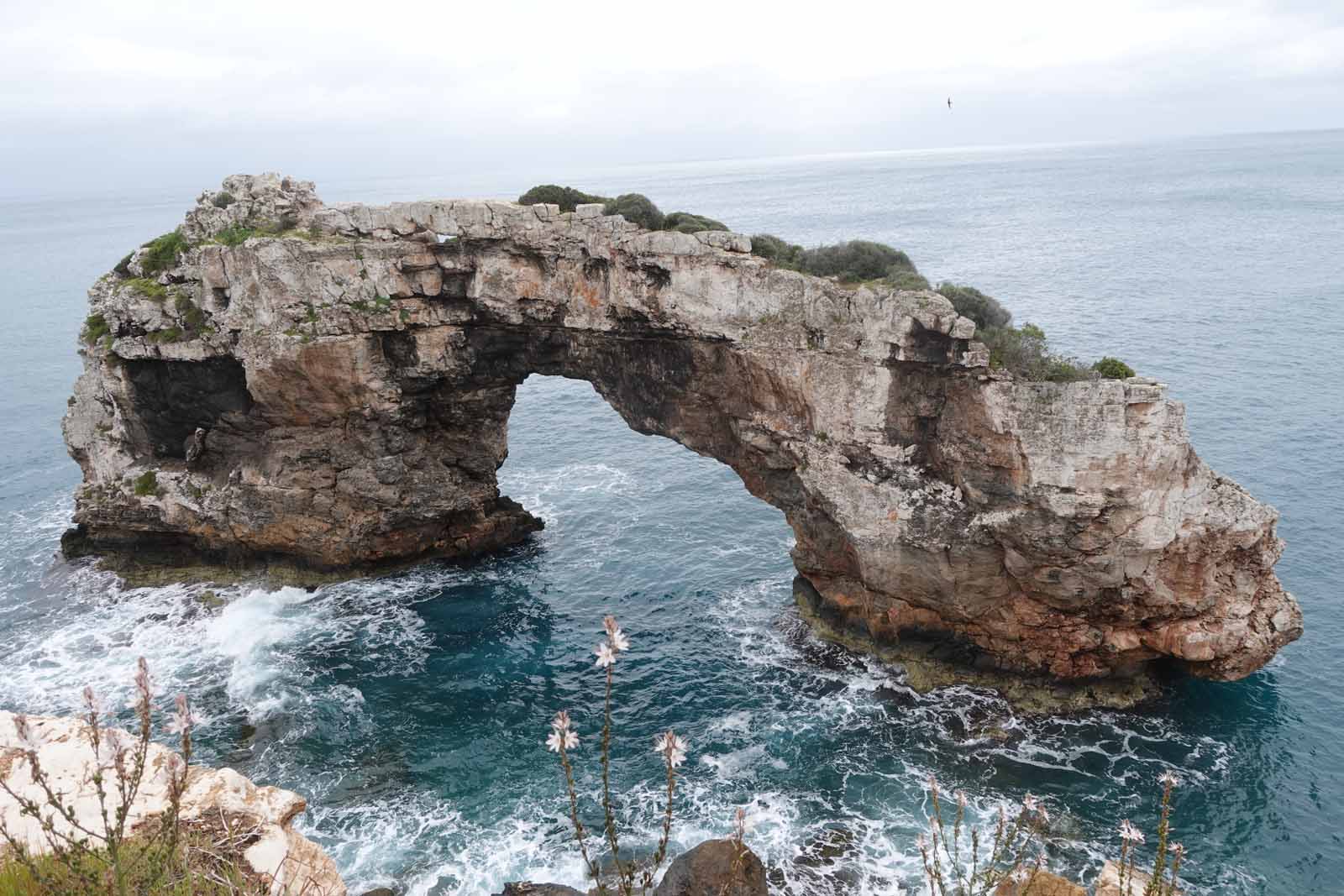Mallorca2026-007