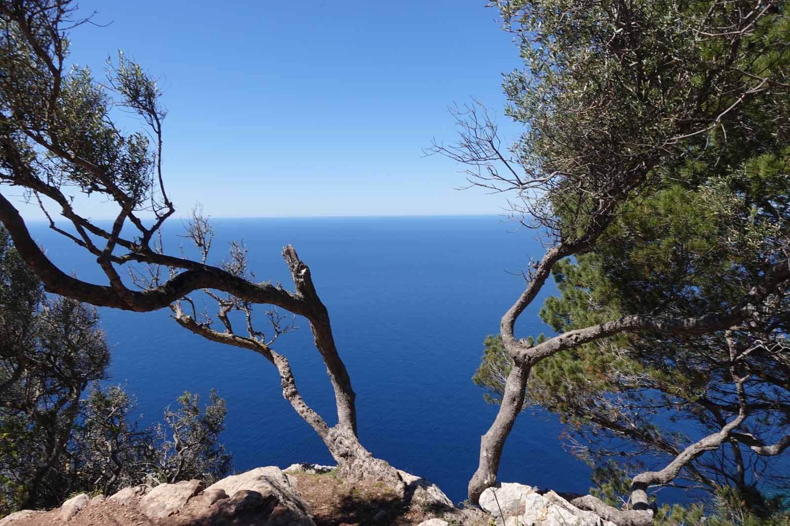 Mallorca2026-009