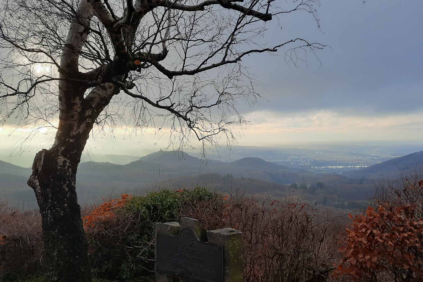 Löwenburg2022