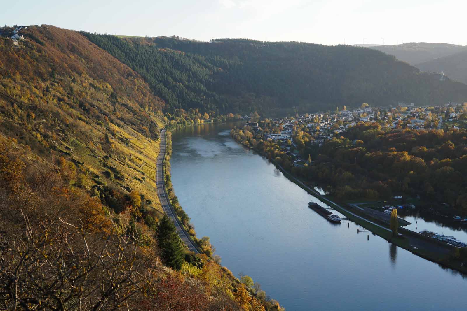 Mosel2021