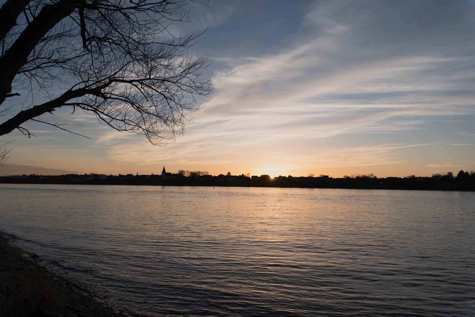 Rhein2020-1