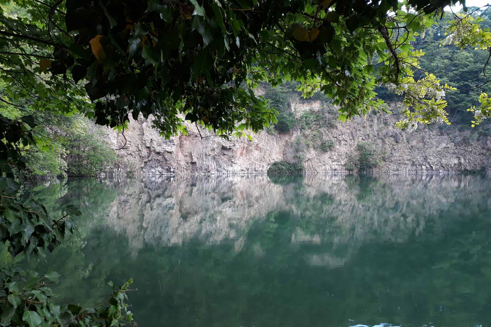 Dornheckensee2010