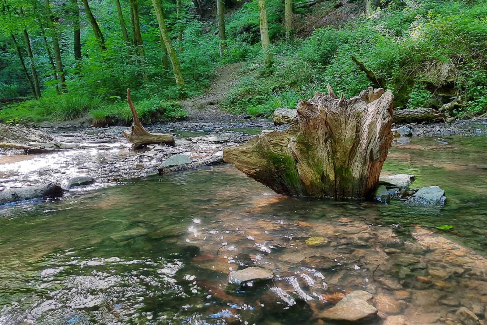 Kasbachtal2021
