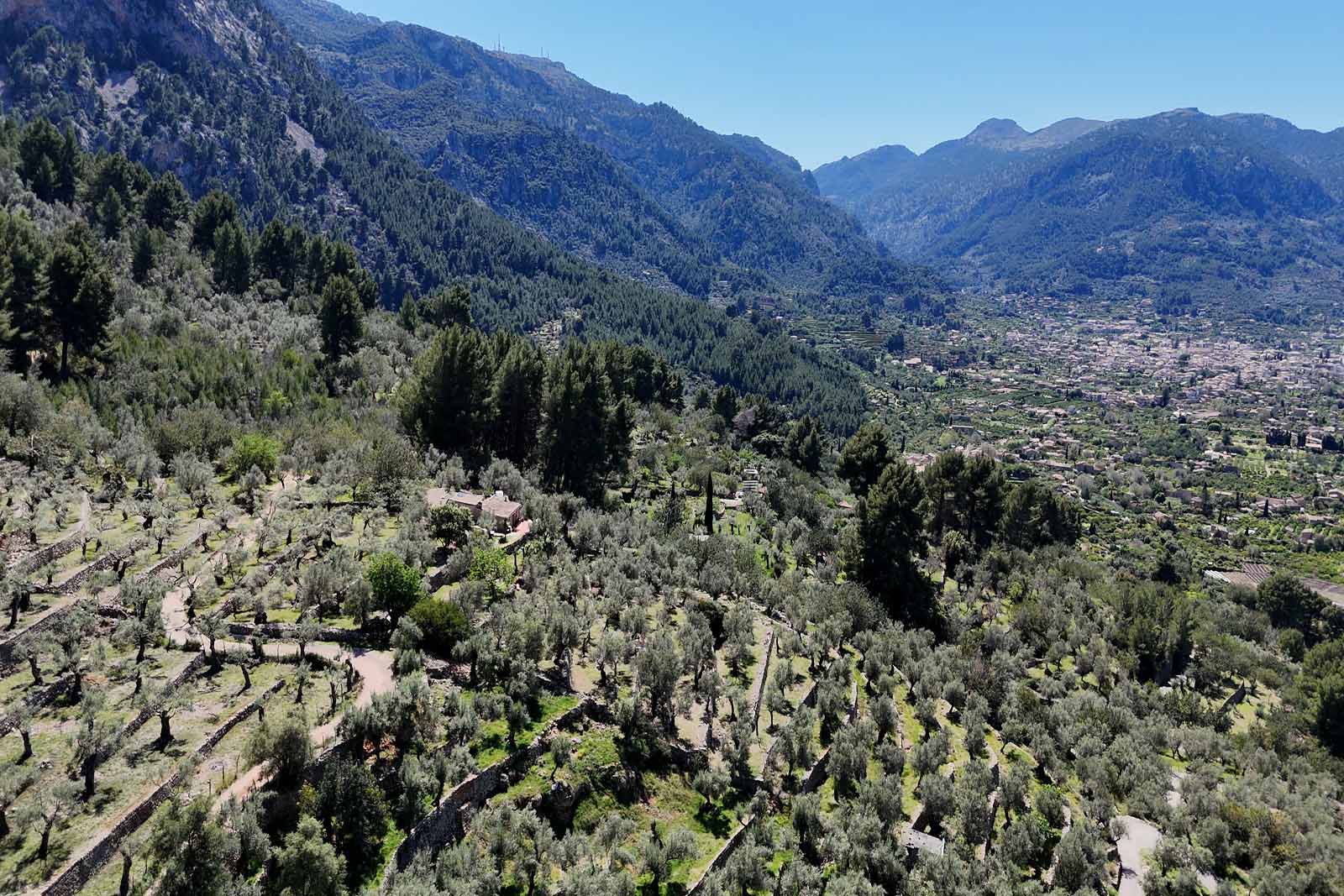 Mallorca2026-002