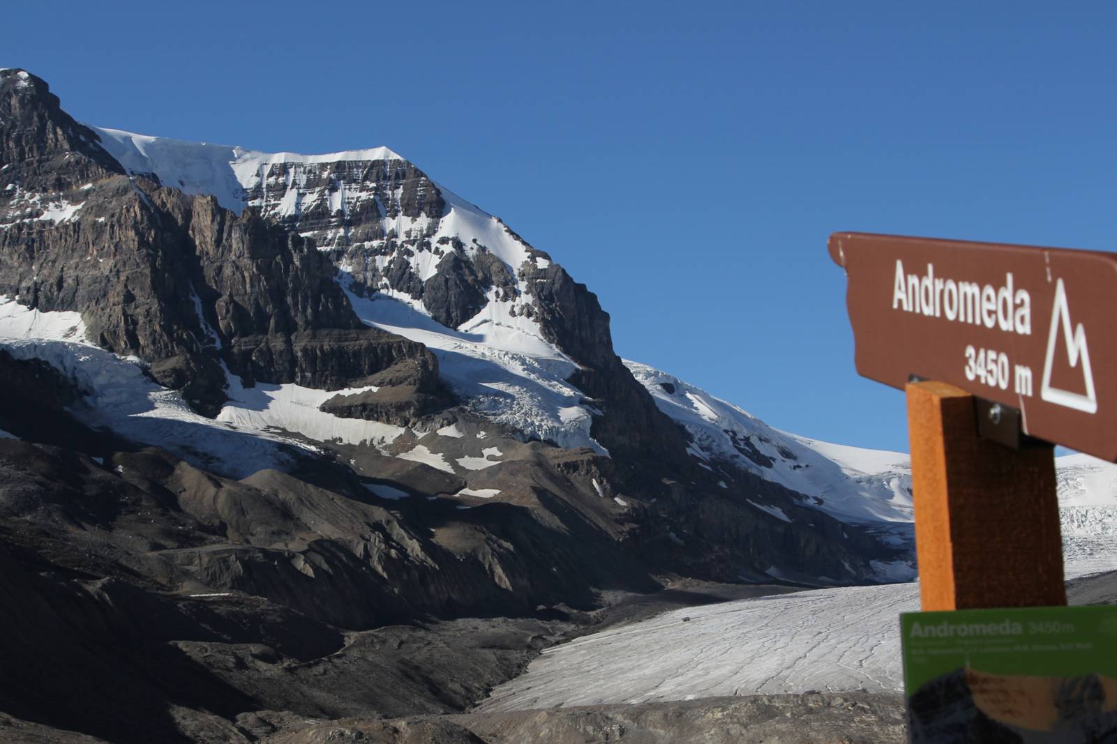 Icefield