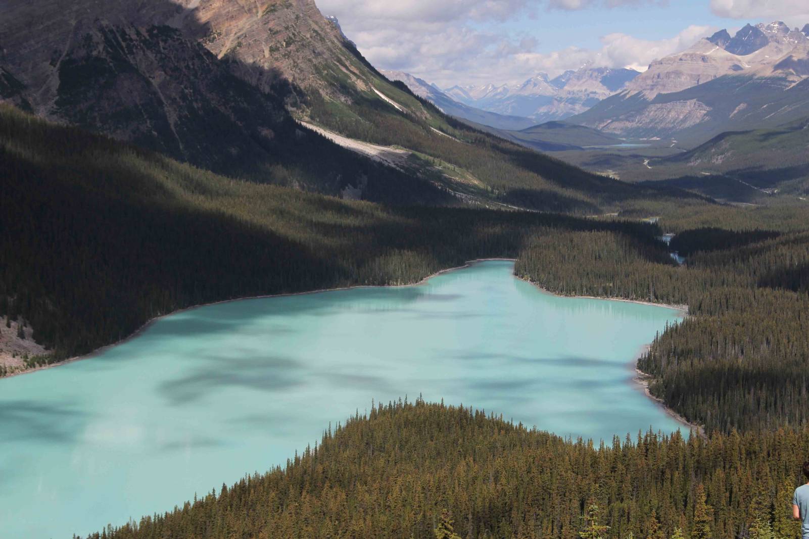 Icefield