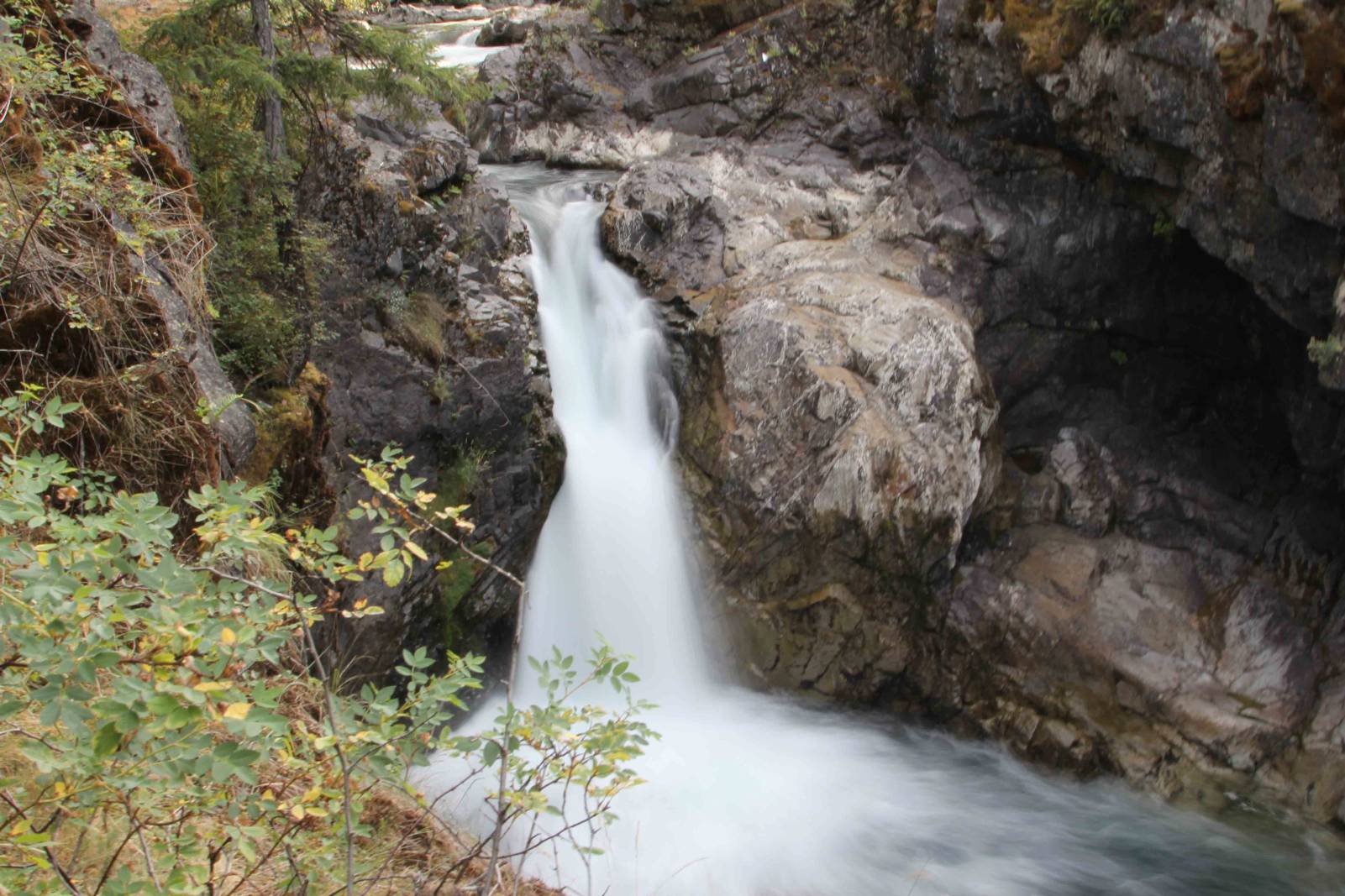 Qualicum