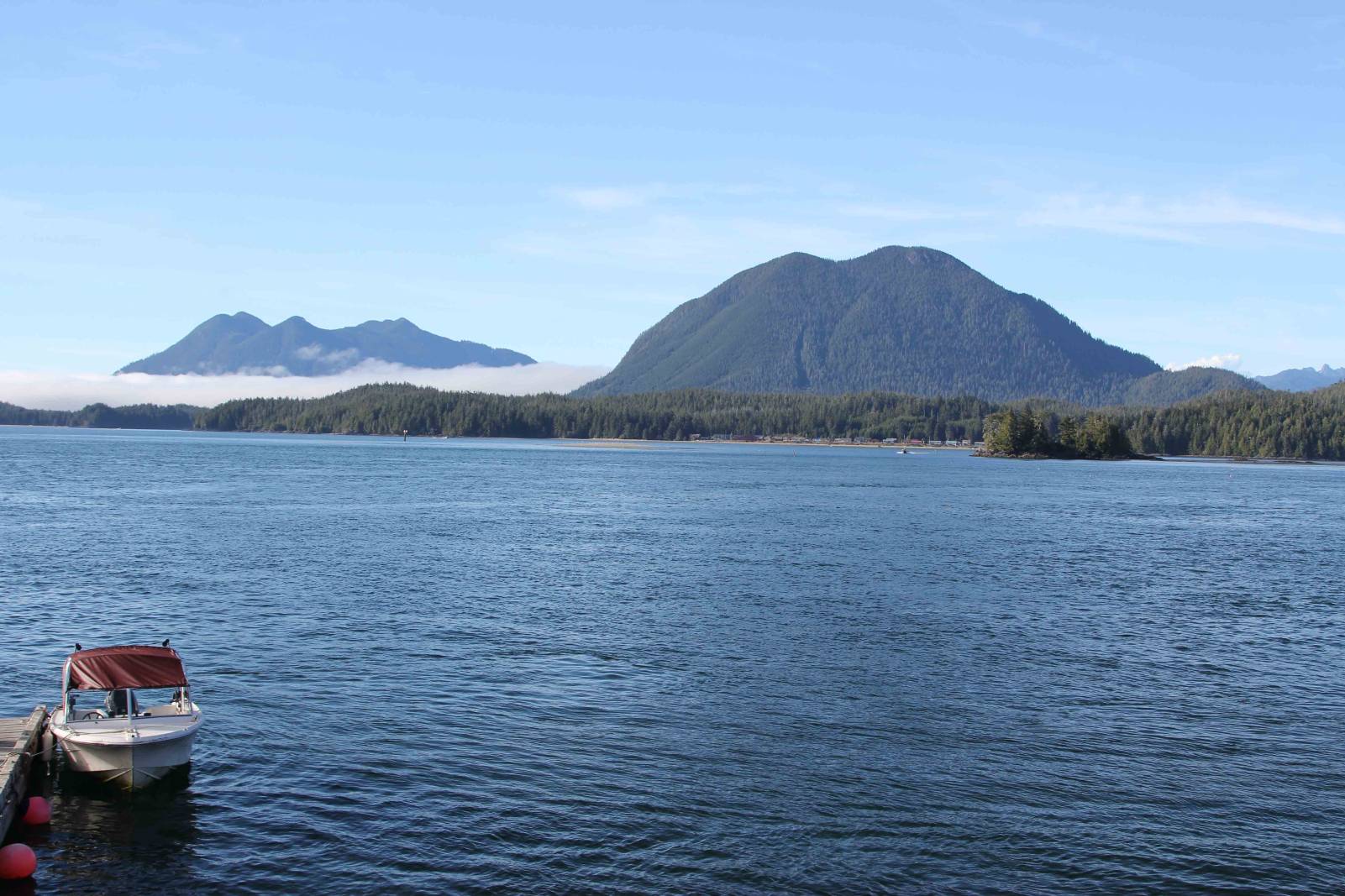 Tofino