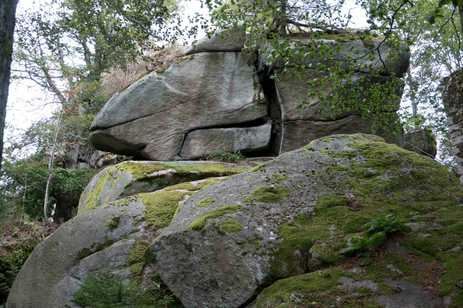 Waldstein