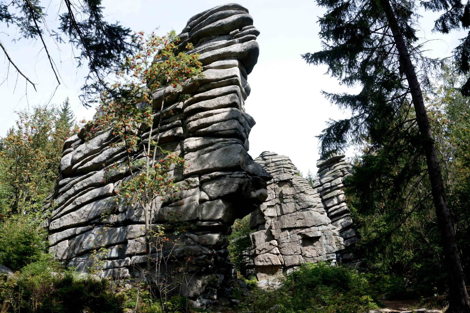 Schneeberg