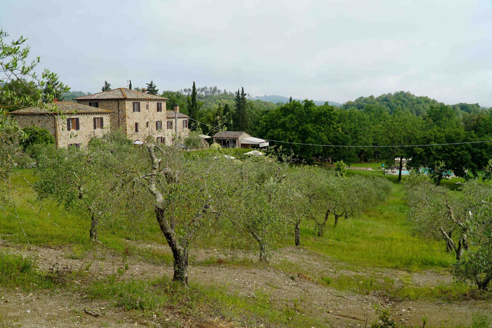 Gimignano