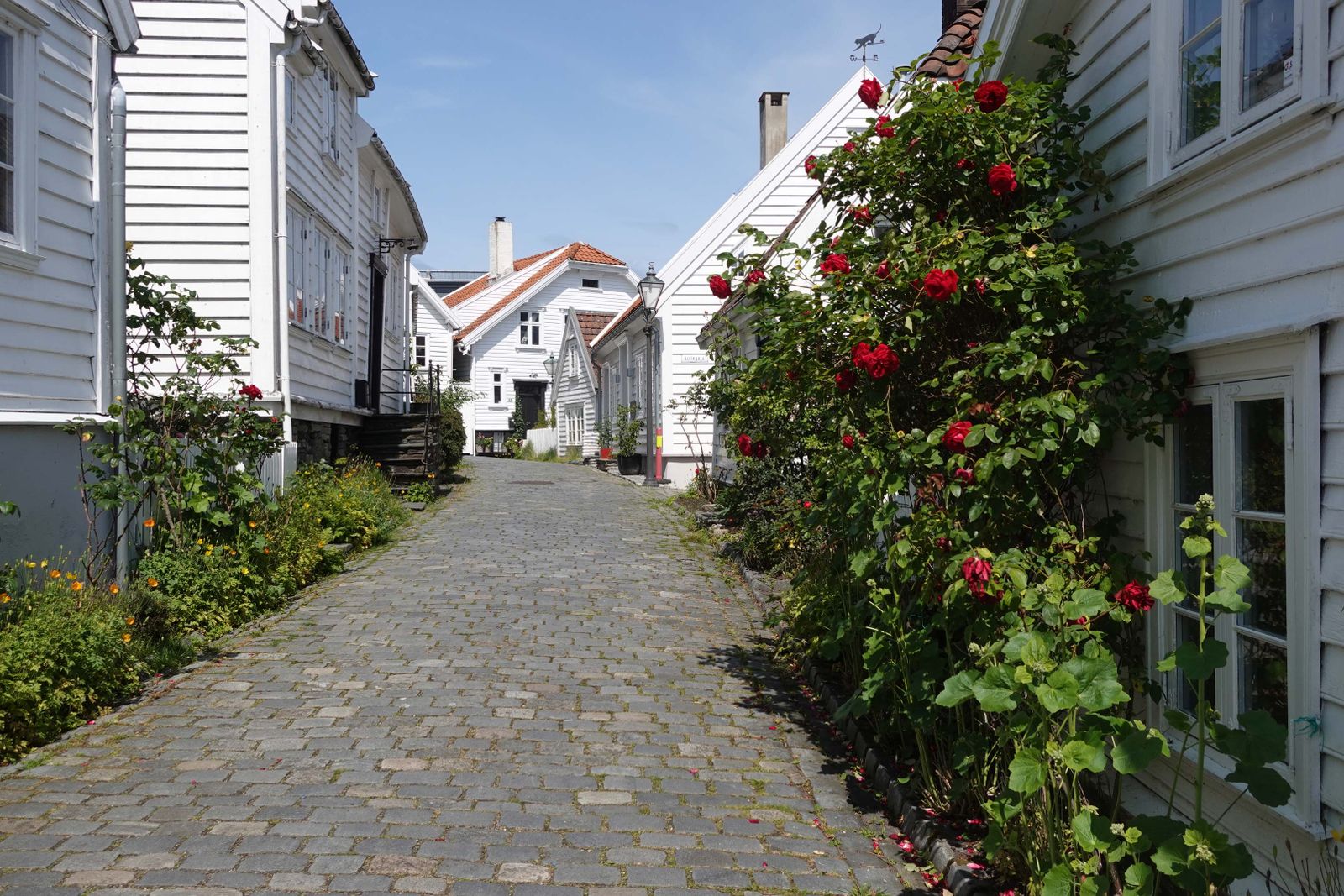 Stavanger2