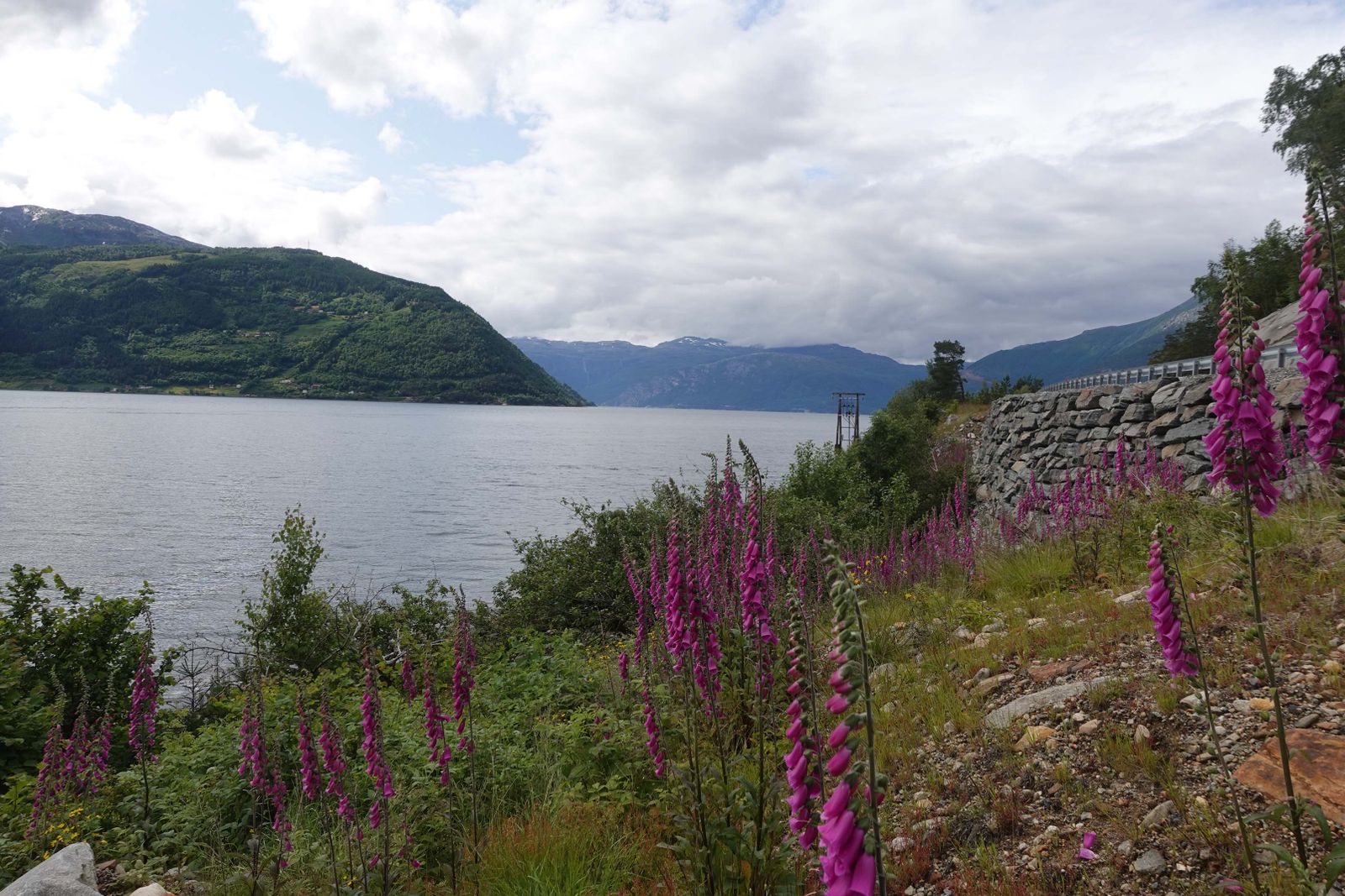 Sorfjord