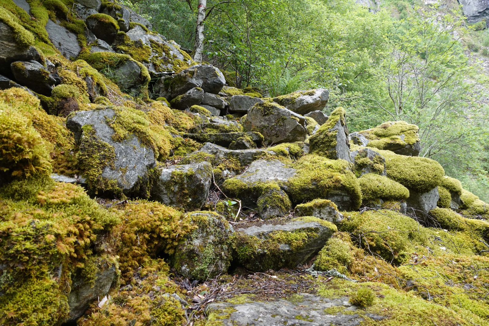 Treppenweg
