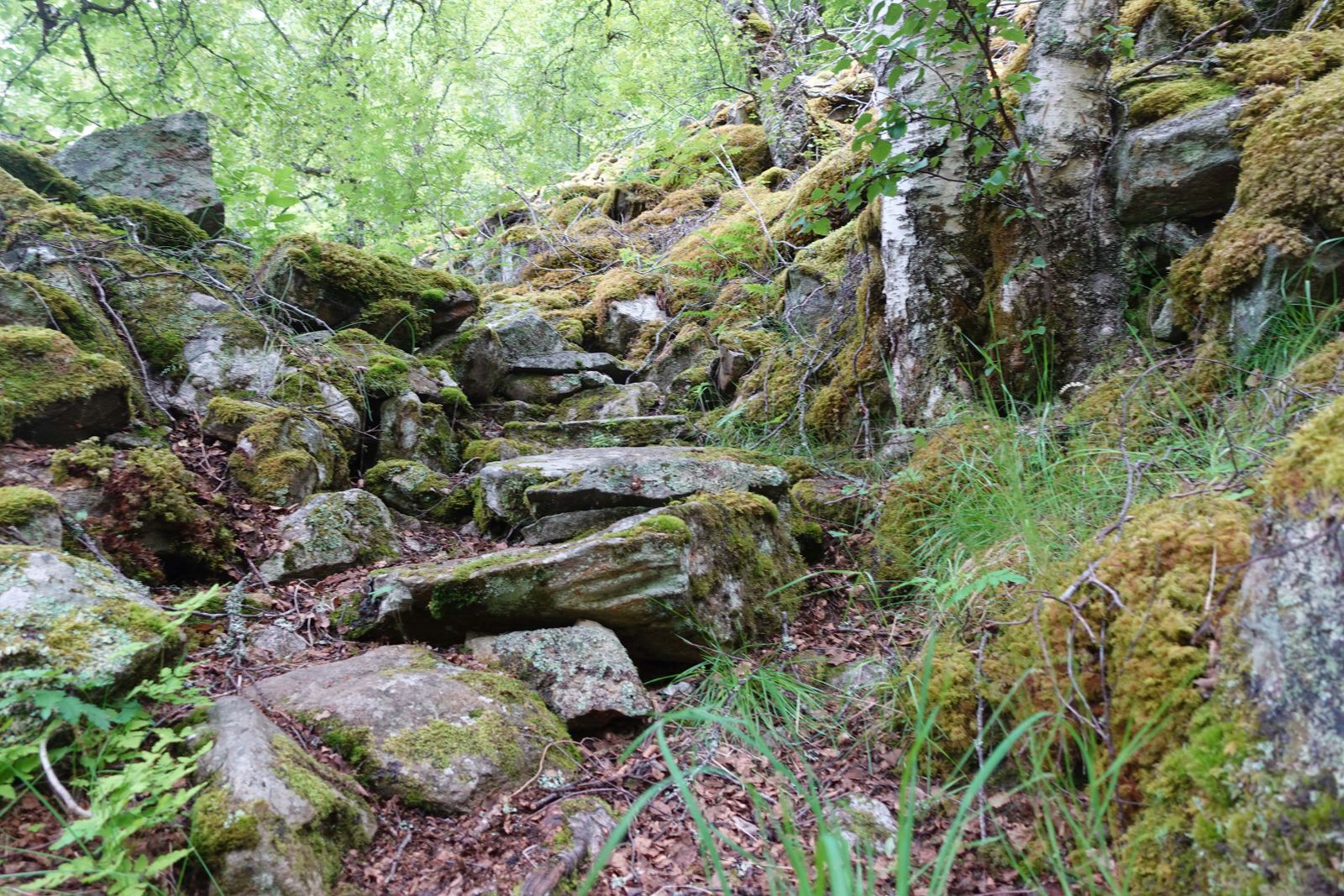 Wanderer vor dem Fjord
