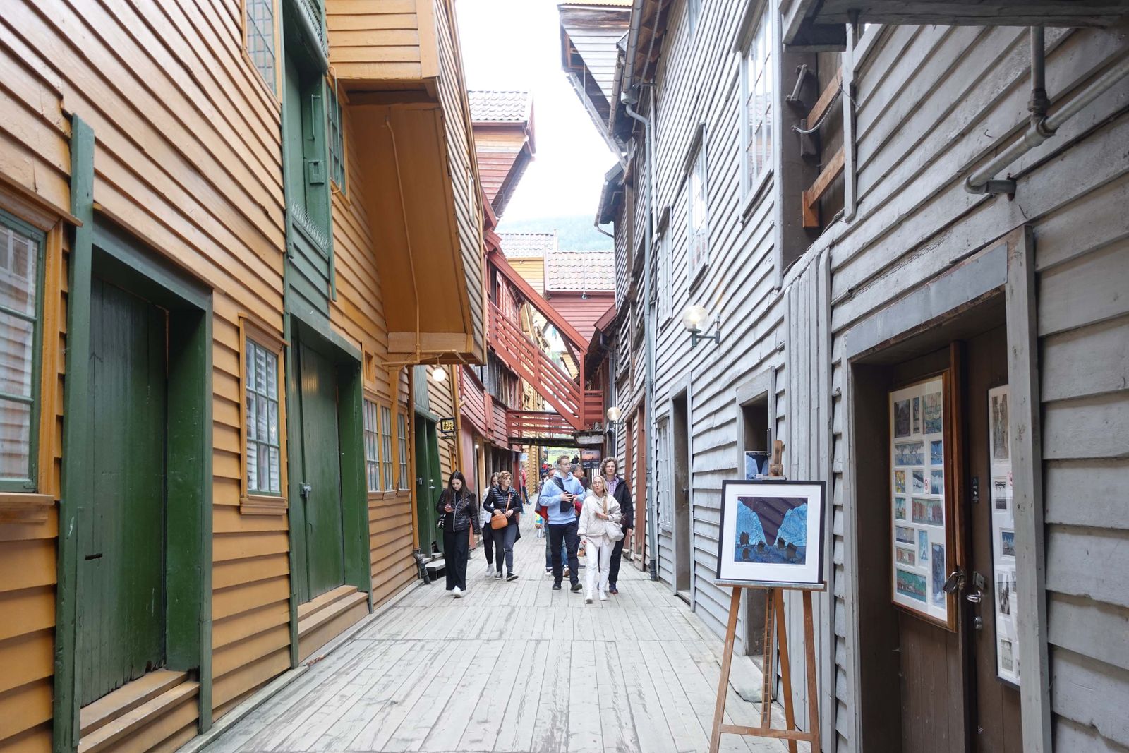 Bergen8