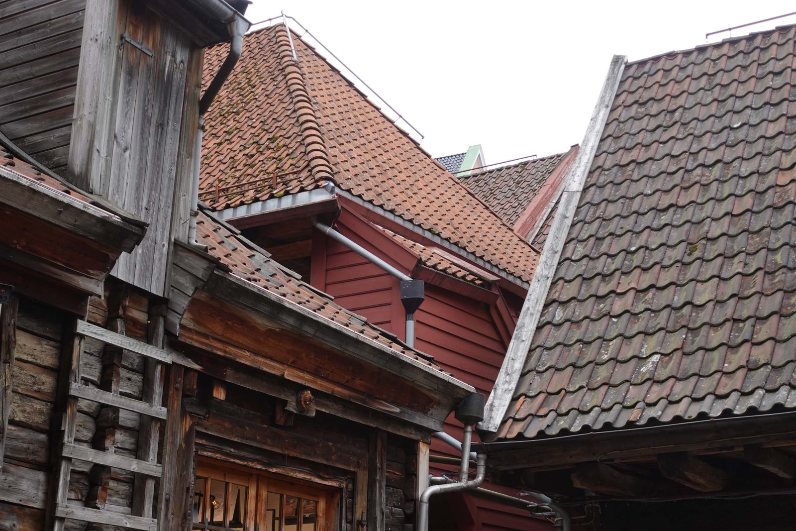 Bergen8
