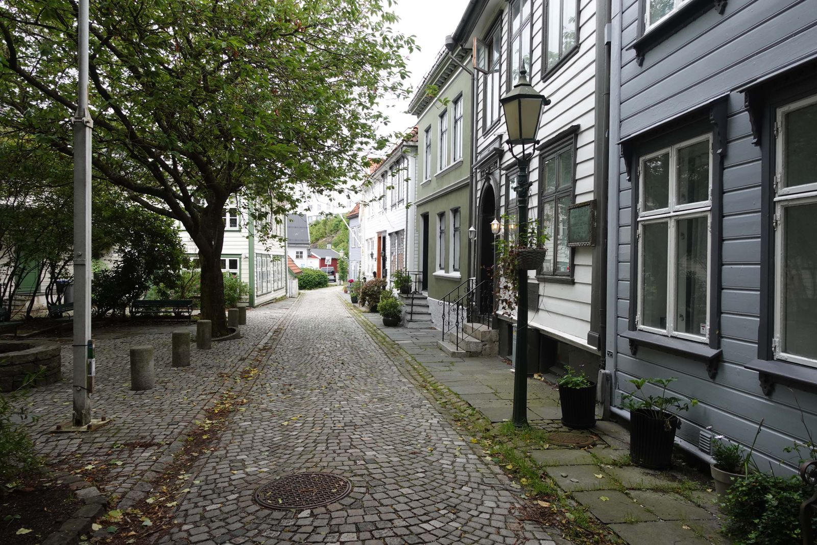 Bergen8