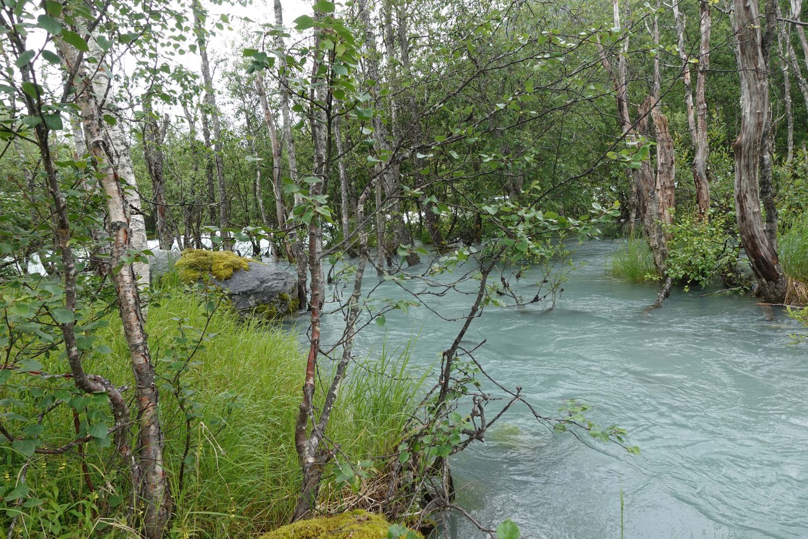Wassermassen