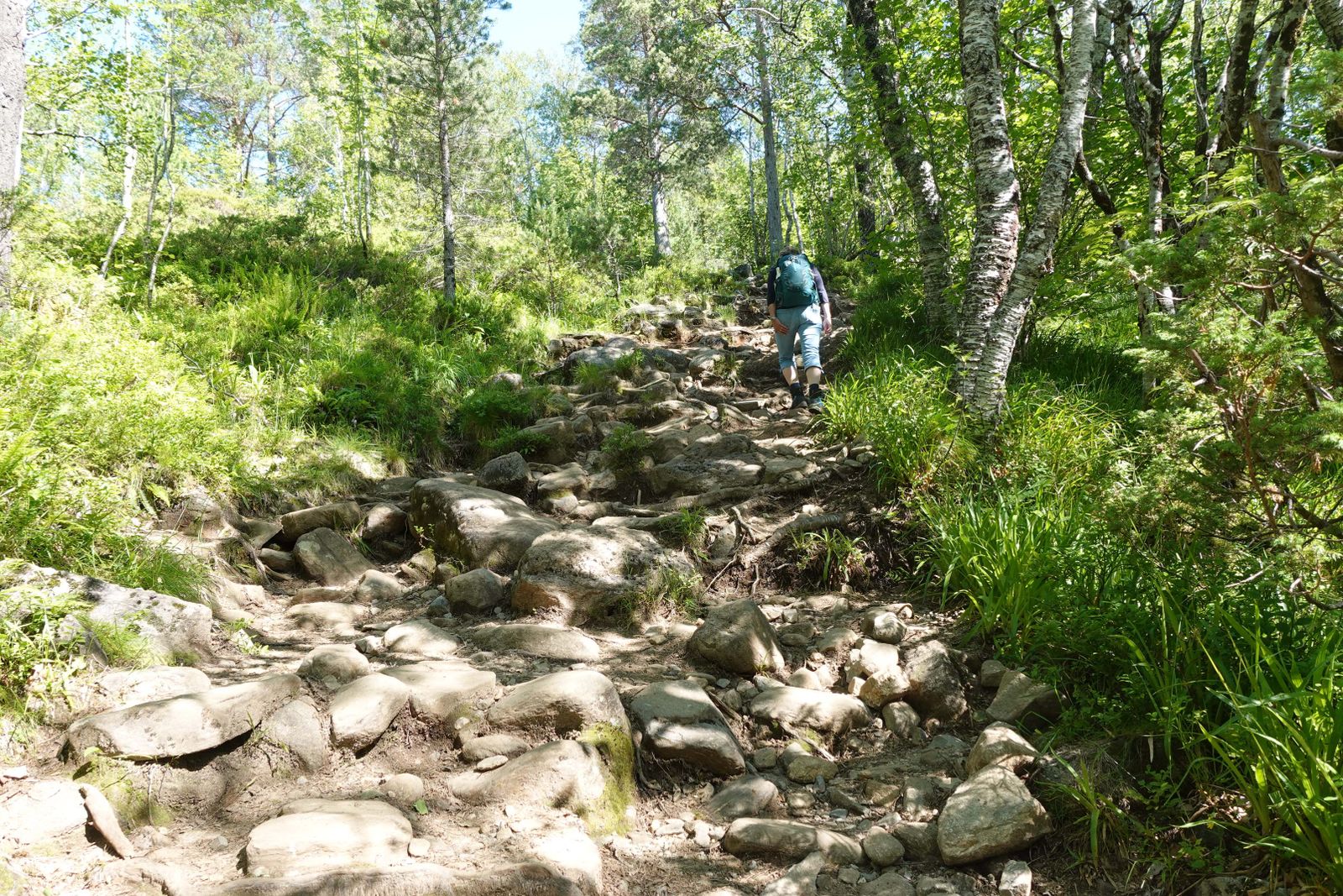 Wikkingerweg