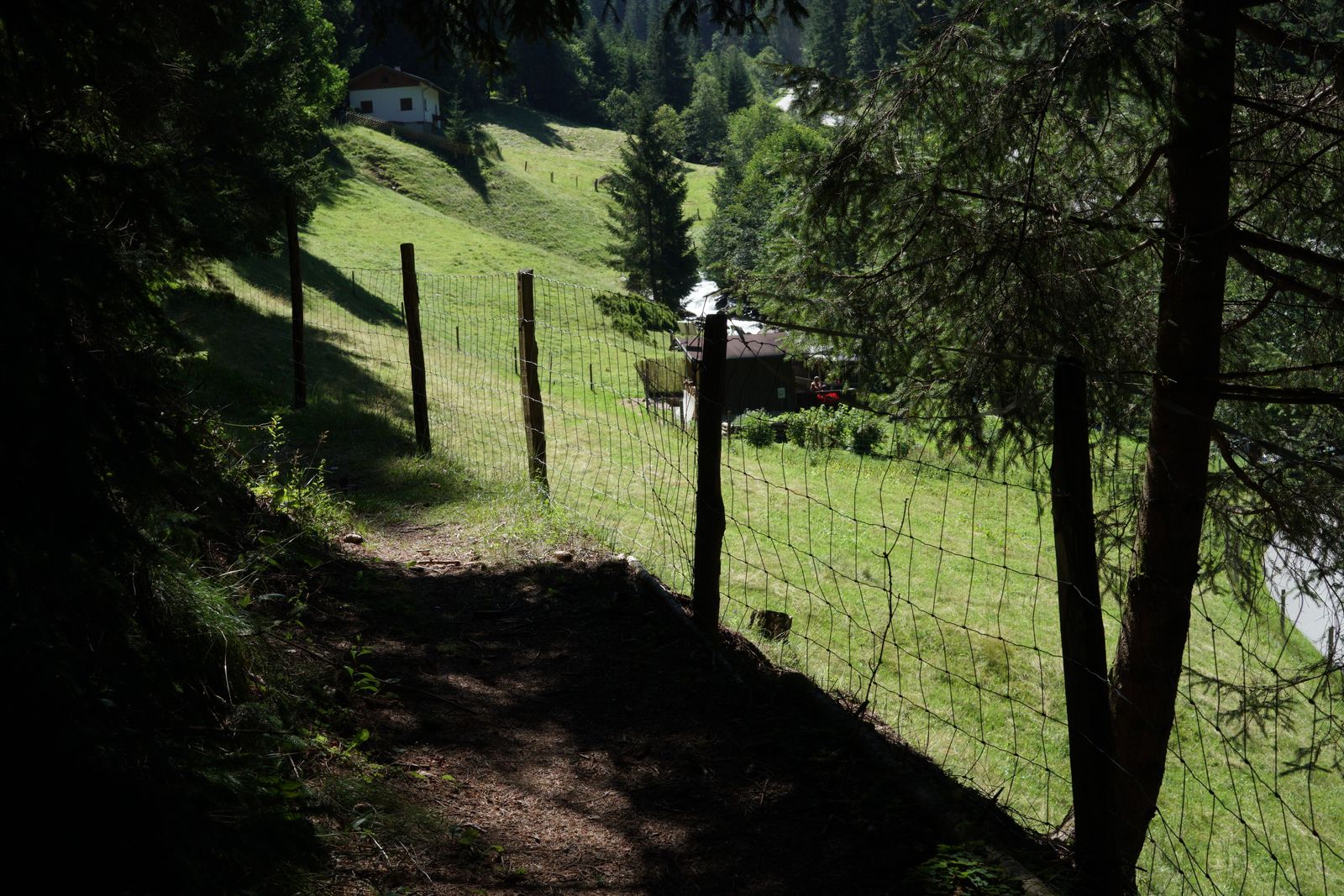 Waldpfad