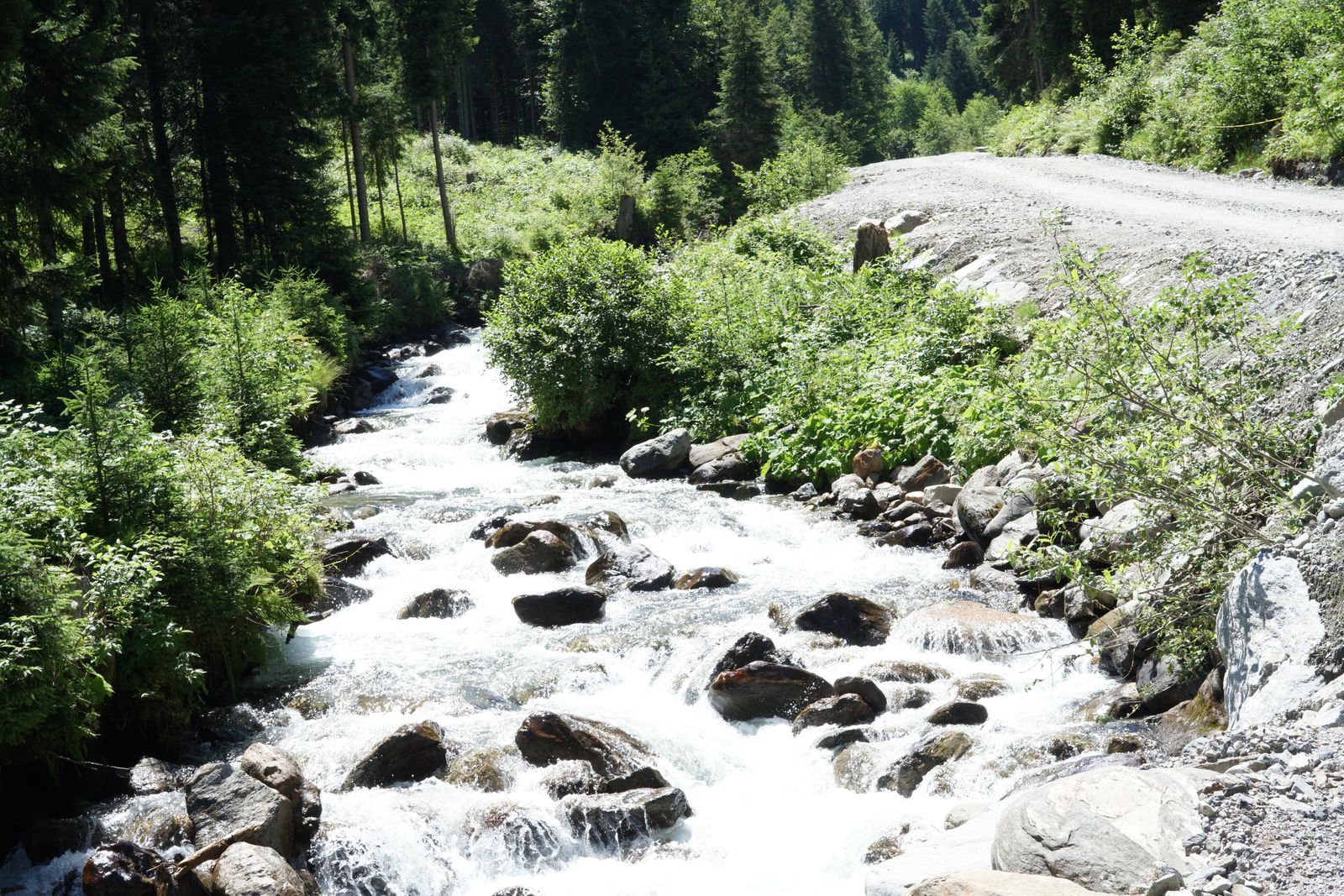 Fotschertal