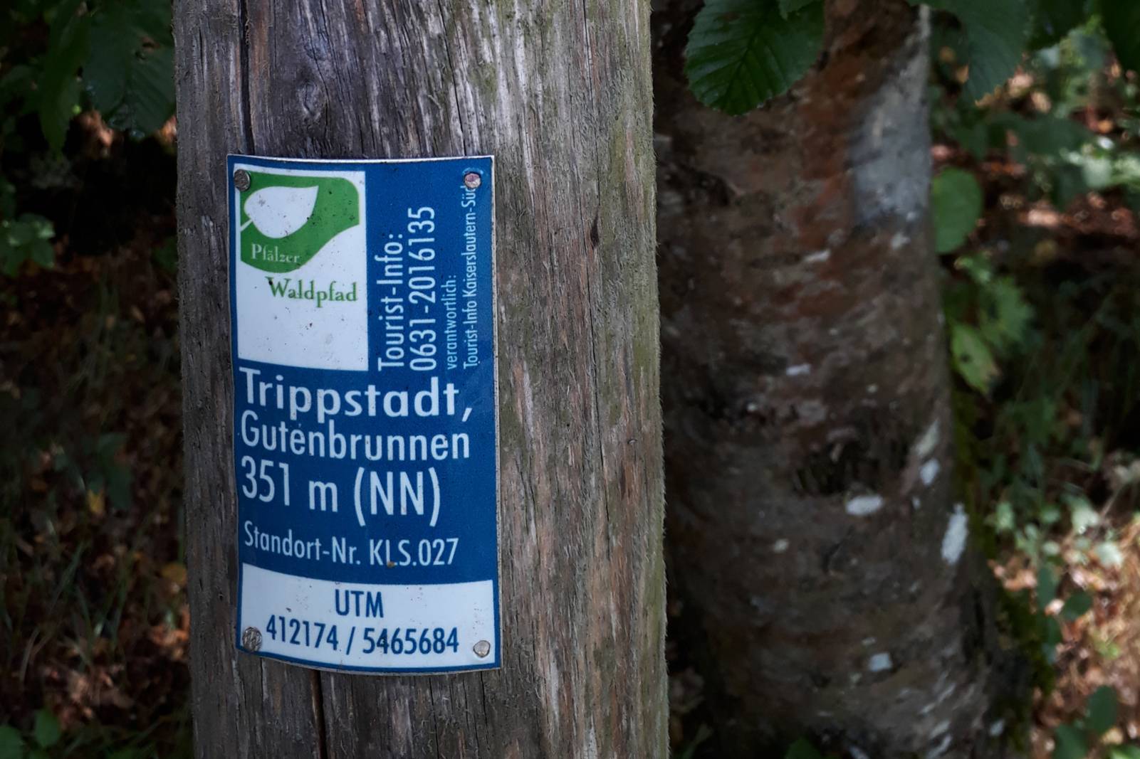 Pfälzer Waldpfad