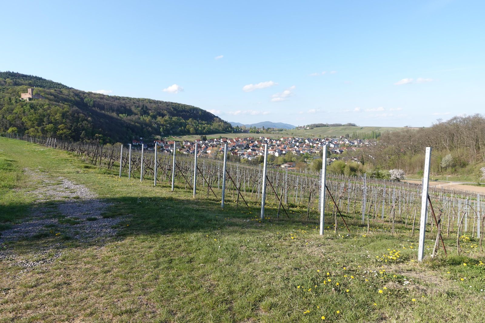 Klingenmünster