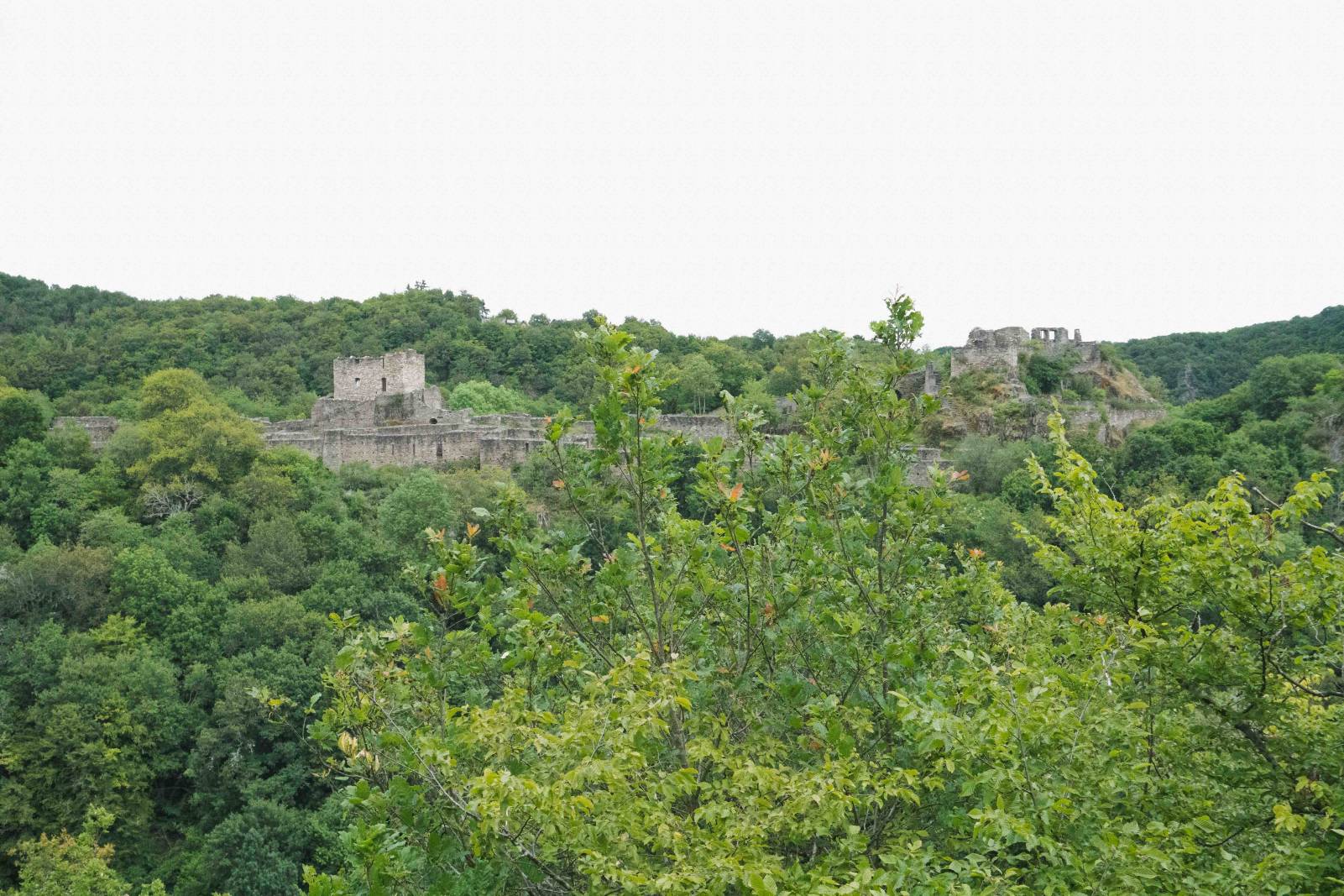 Schmidtburg