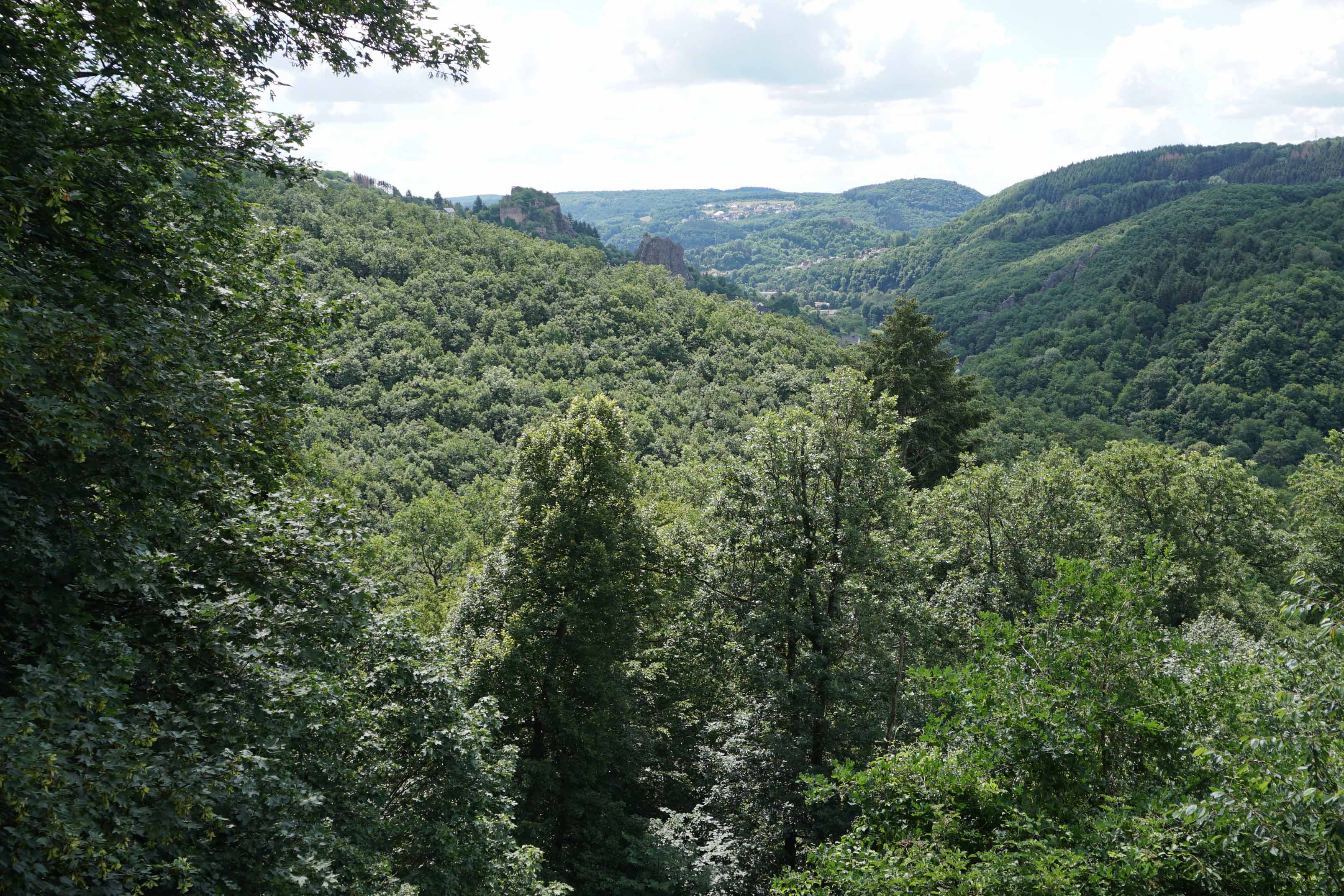 Wartenstein