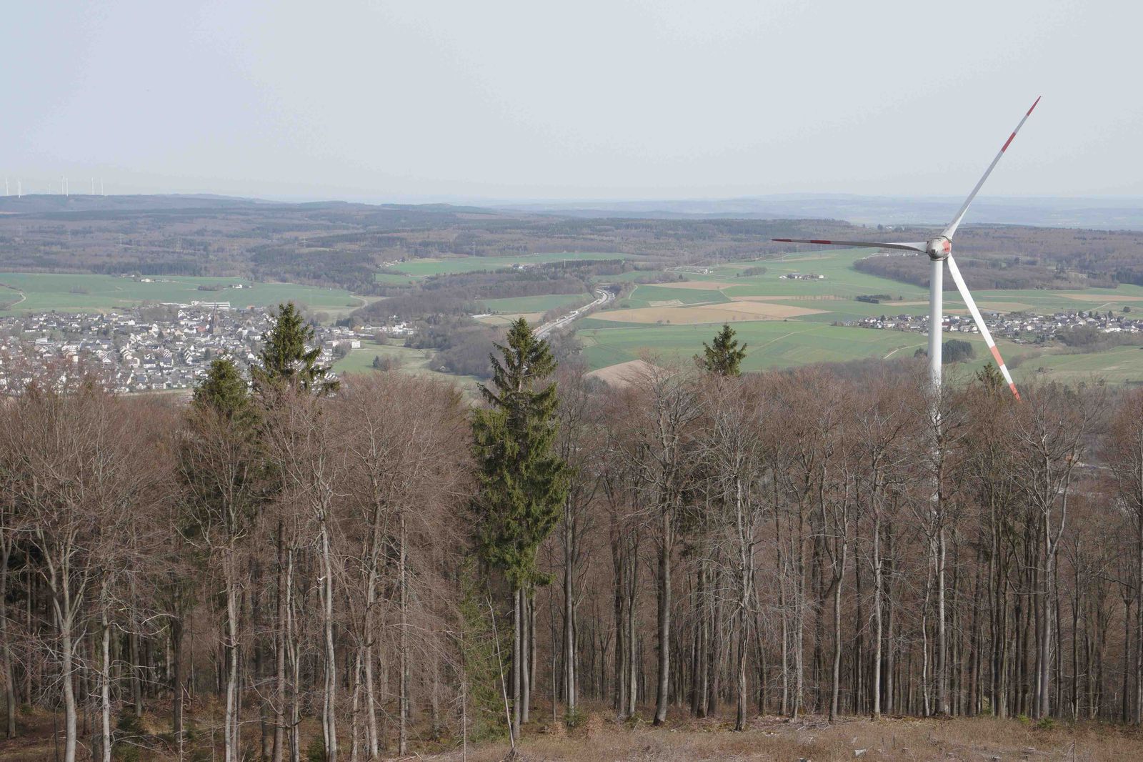 Hochmoorwiesen