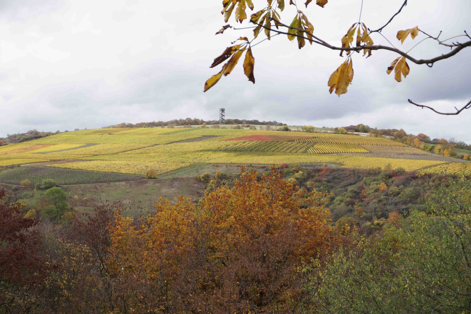Heimberg