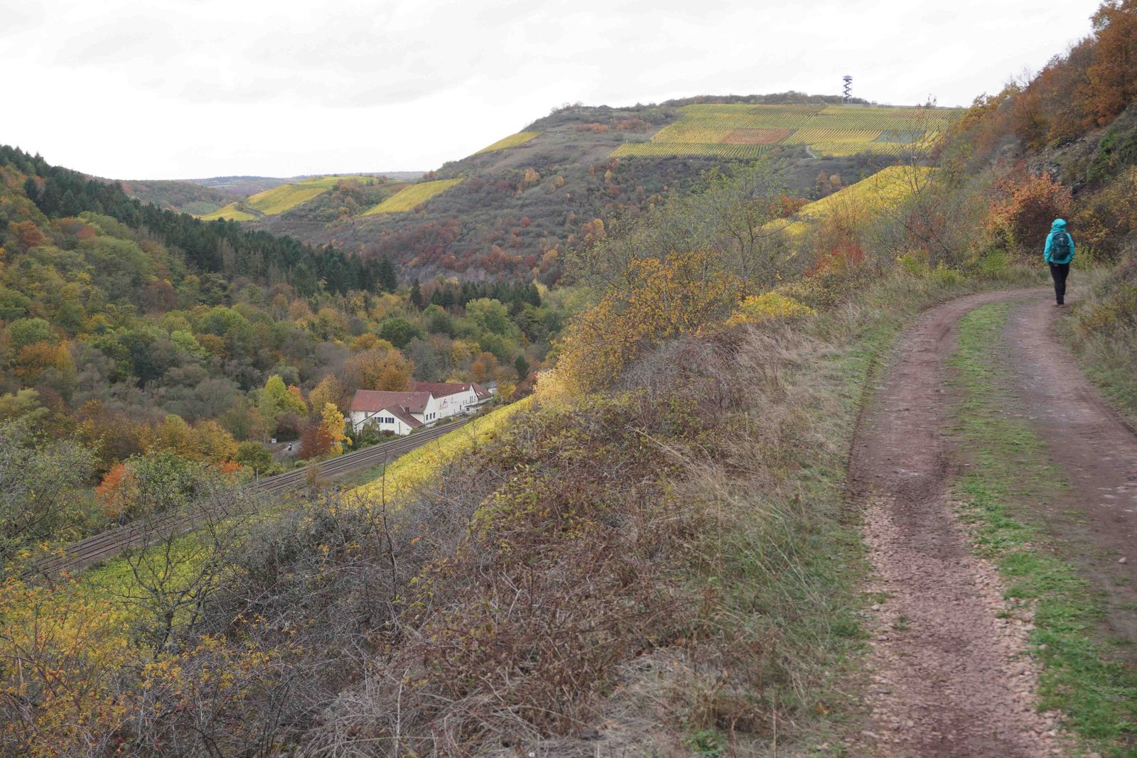 Panorama